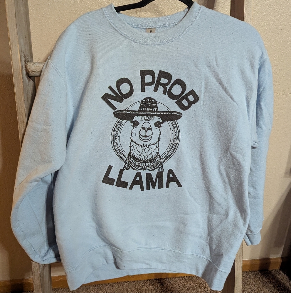 Light Blue Graphic Men's Sweater